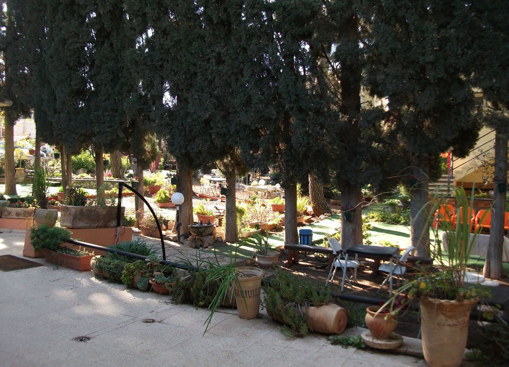 Safed Inn Экстерьер фото